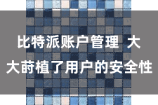 比特派账户管理  大大莳植了用户的安全性