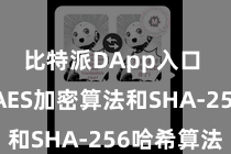 比特派DApp入口  举例AES加密算法和SHA-256哈希算法