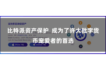 比特派资产保护  成为了许大批字货币宠爱者的首选