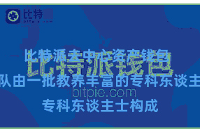 比特派去中心资产钱包  这个团队由一批教养丰富的专科东谈主士构成