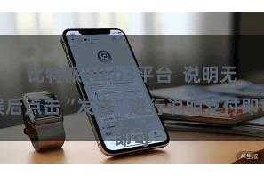 比特派Web3平台  说明无误后点击“发送”进行说明支付即可